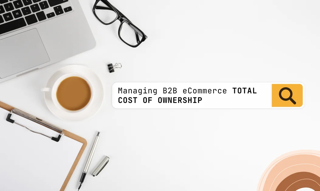 Maximizing ROI: A Guide to Managing B2B eCommerce Total Cost of Ownership